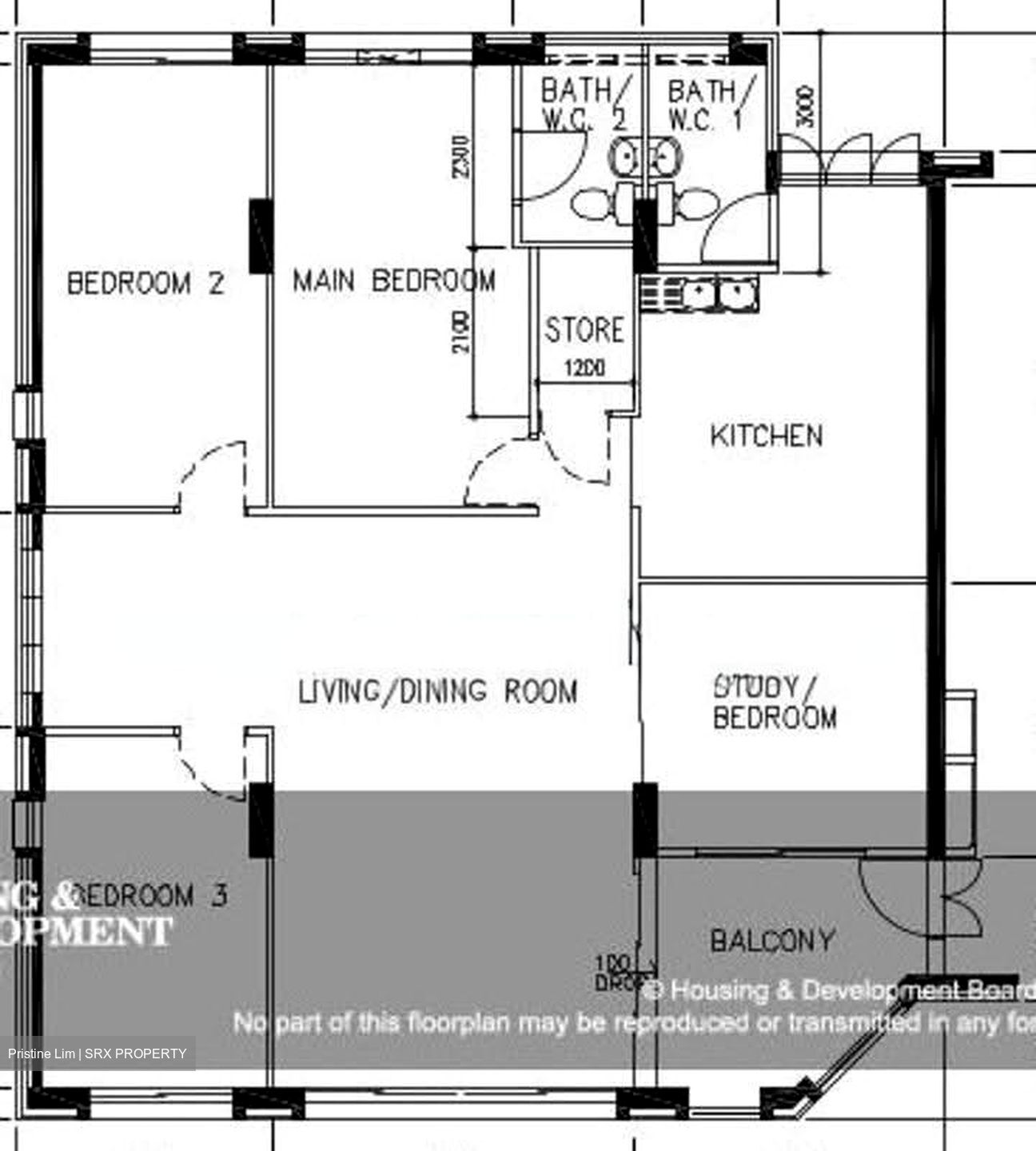 Blk 248 Pasir Ris Street 21 (Pasir Ris), HDB Executive #623186161